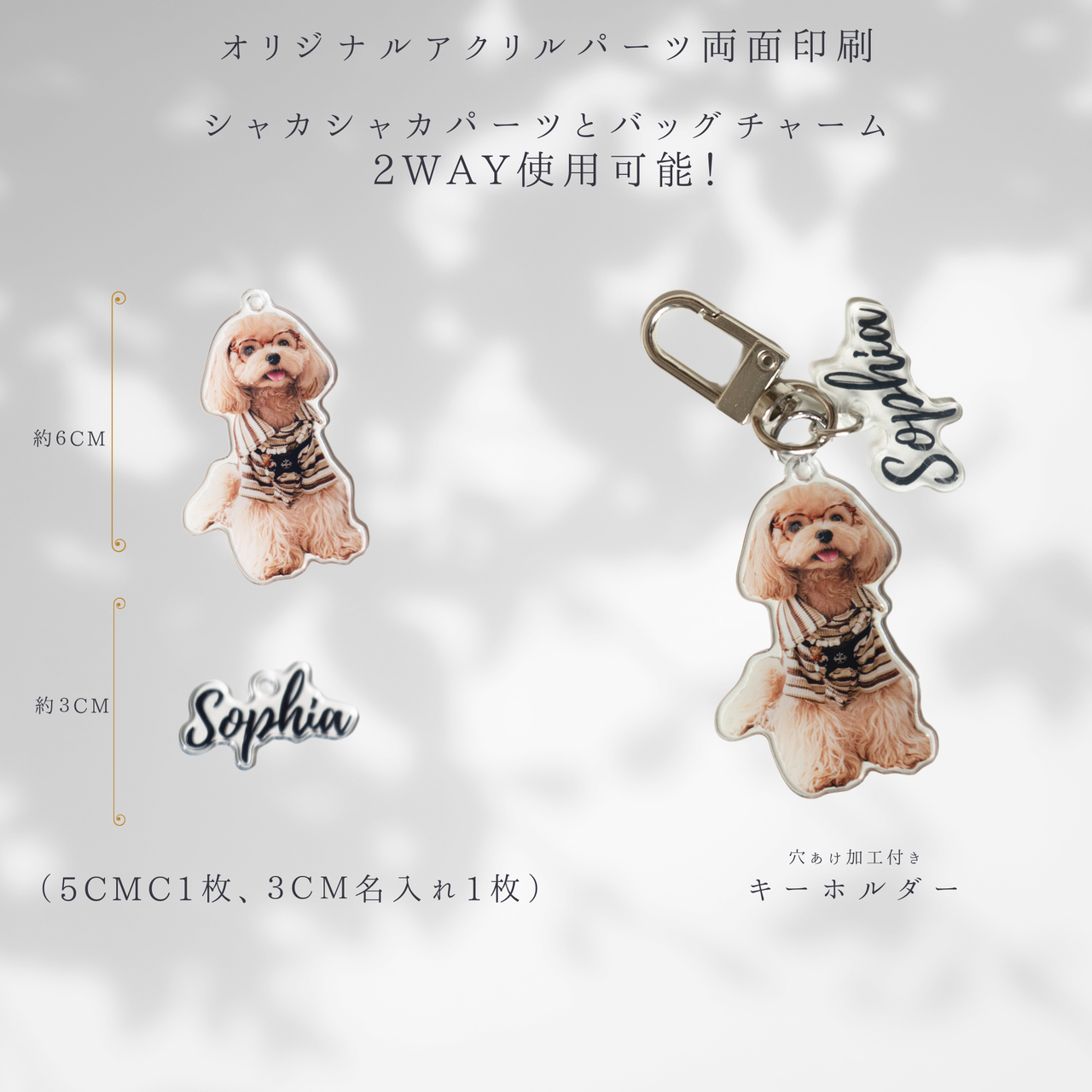 2WAYシャカシャカキー名入れスマホケース