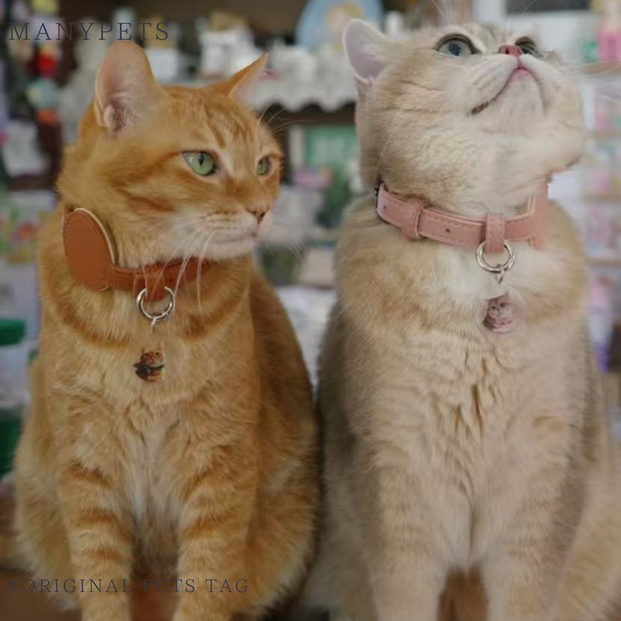 【写真入り】うちの子迷子防止ペットタグ 刻印|犬・猫用 アクリル迷子札