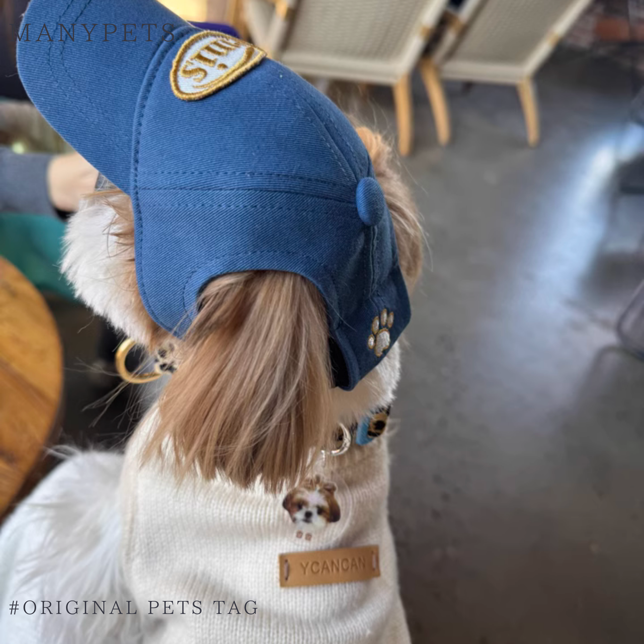 【写真入り】うちの子迷子防止ペットタグ 刻印|犬・猫用 アクリル迷子札