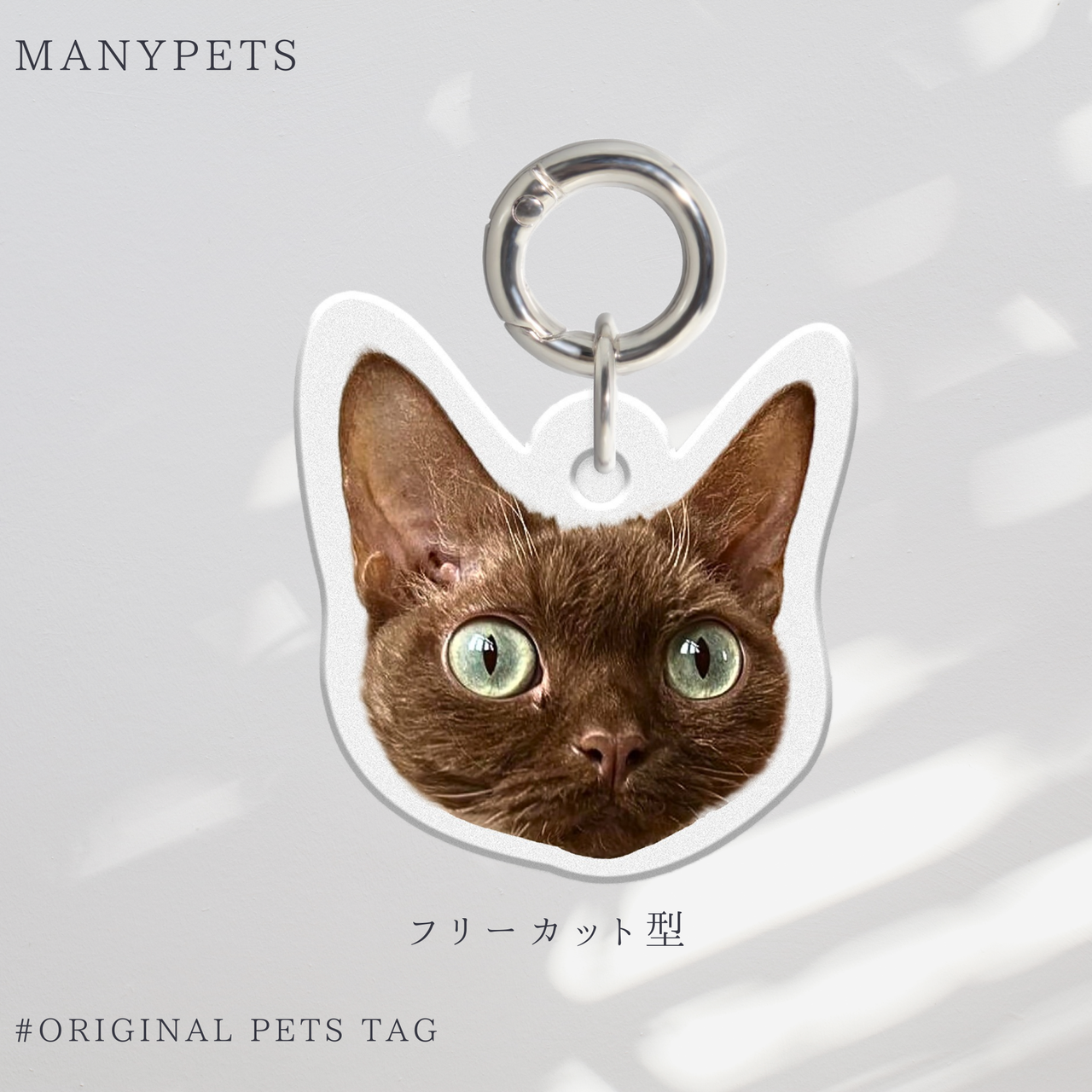 【写真入り】うちの子迷子防止ペットタグ 刻印|犬・猫用 アクリル迷子札